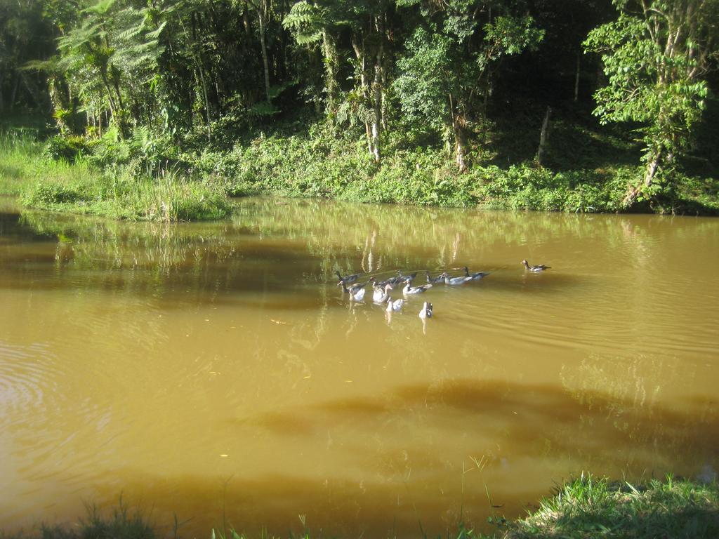Pousada Recanto Dos Pinheiros Pilar do Sul Exterior photo